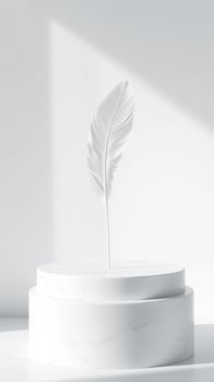 White feather on a white marble podium photo