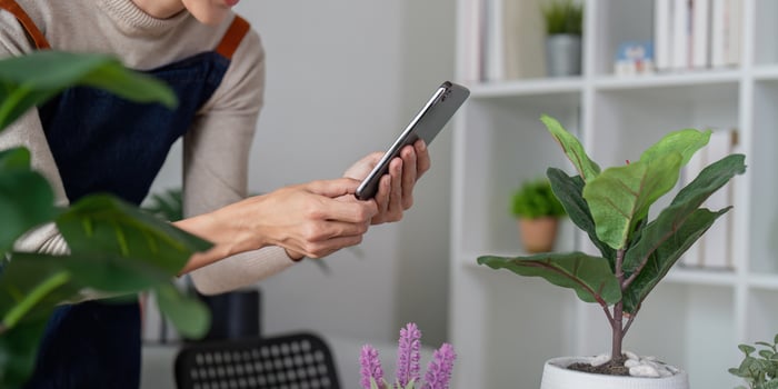 Woman Photographing Houseplants with Smartphone. Indoor Gardening Documentation photo