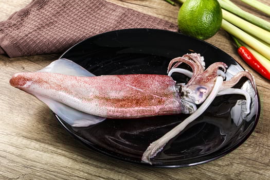 Raw fresh squid for cooking photo
