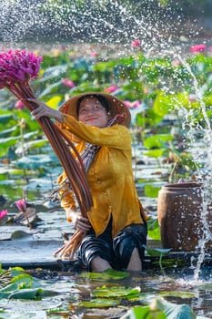 view of rural Vietnamese girl in Moc Hoa district, Long An province, Mekong Delta are harvesting water lilies. Water lily is a traditional dish here. photo