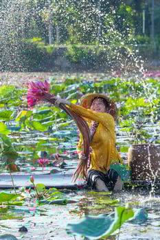 view of rural Vietnamese girl in Moc Hoa district, Long An province, Mekong Delta are harvesting water lilies. Water lily is a traditional dish here. photo