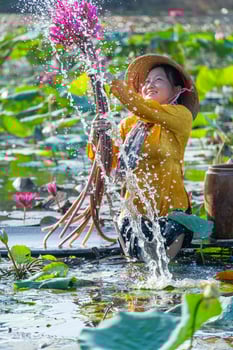 view of rural Vietnamese girl in Moc Hoa district, Long An province, Mekong Delta are harvesting water lilies. Water lily is a traditional dish here. photo