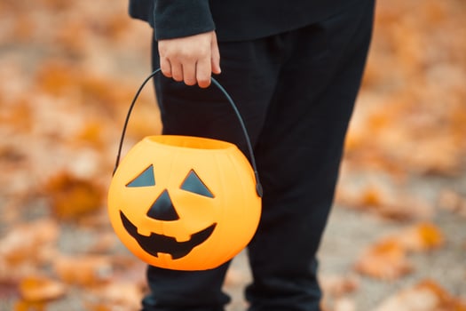 Boy in black clothes holding pumpkin jack bucket for trick or treating on Halloween holiday against autumn leaves background photo