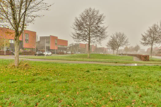 A grassy field photo