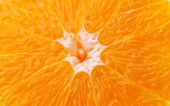 Close up of cross section of orange photo