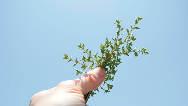 Fresh green plant against a blue sky photo