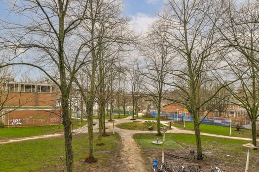 A view of a park with trees and a building photo
