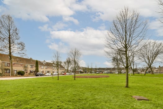 A grassy field with trees and buildings in the background photo