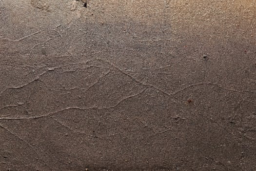 Stones on Wet Sand Beach - Top View photo