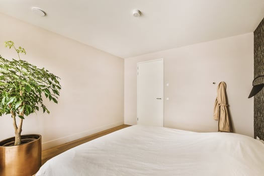 A bedroom with a white bed and a plant photo