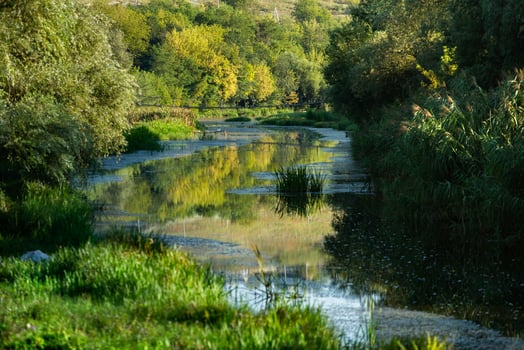Rural landscape in the Republic of Moldova. Photo with beautiful nature from the country in Eastern Europe.