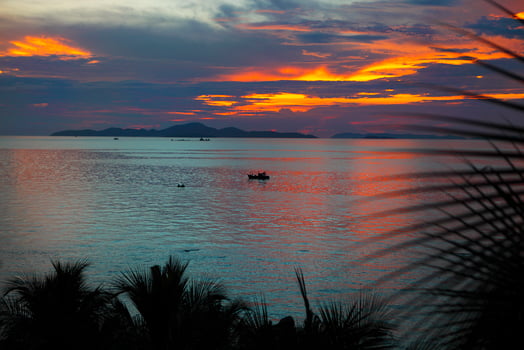 Palm trees silhouette at sunset, Thailand photo