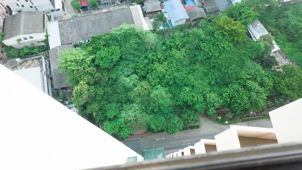 Nature environment plant outdoor top view leaf background tree summer forest growth freshness social issue ecology resource texture spring sustainable resource organic travel lifestyle flora park photo