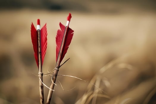 Two arrows standing upright in grass field with blurred background photo