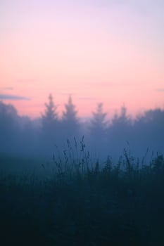 Evening mist on a field in countryside at summer. photo