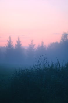 Evening mist on a field in countryside at summer. photo