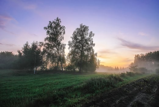 Evening mist on a field in countryside at summer. photo