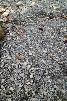 Small pebbles scattered on the road photo