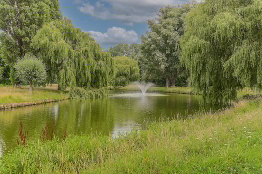 Panorama view of park and lake photo