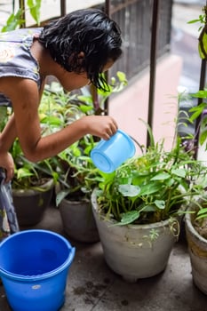 Cute 5 year old Asian little girl is watering the plant in the pots located at house balcony, Love of sweet little girl for the mother nature during watering into plants, Kid Planting photo
