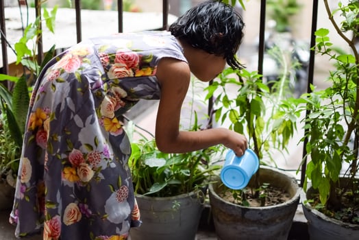 Cute 5 year old Asian little girl is watering the plant in the pots located at house balcony, Love of sweet little girl for the mother nature during watering into plants, Kid Planting photo