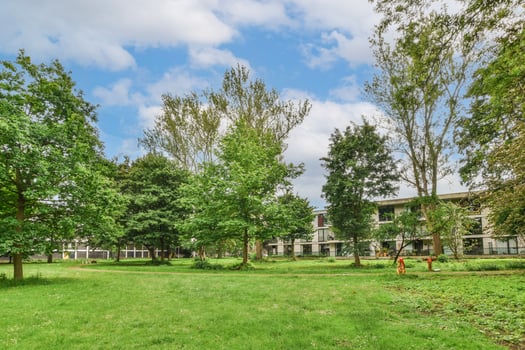 A grassy area with trees and buildings in the background photo