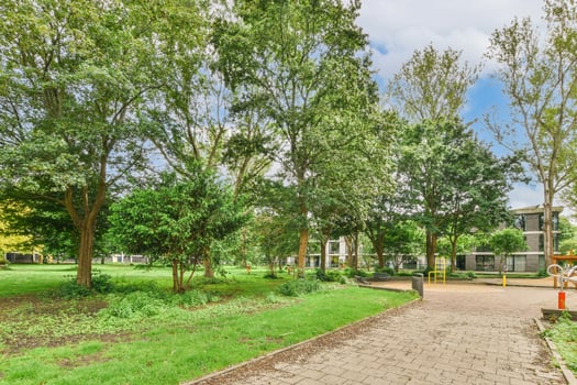 A park with trees and grass in front of a building photo