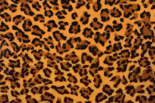 Close-Up of Leopard Print Fabric Texture photo