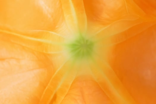 Close-Up of a Bright Yellow Flower with Central Stigma in Focus photo