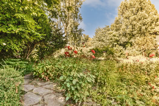 A stone path in a garden with trees and flowers photo