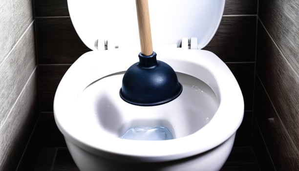 Plunger Over Toilet Bowl photo