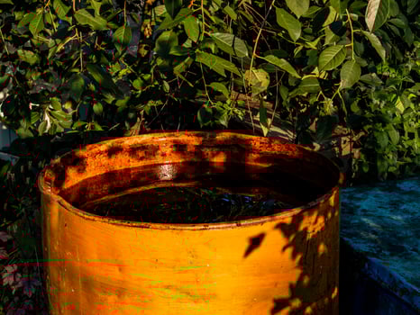 rusty iron barrel with water in the garden photo