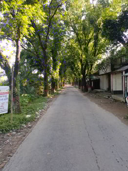 Village Road Surrounded by Stunning Scenery photo
