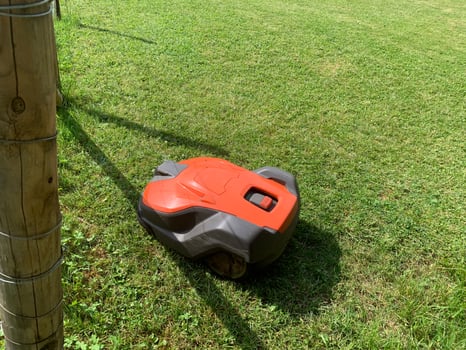 Robotic lawn mower on grass, side view photo