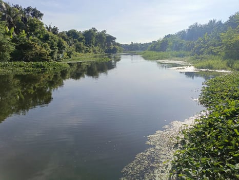 Serene Village Canal of a Natural View with Stunning Scenery photo