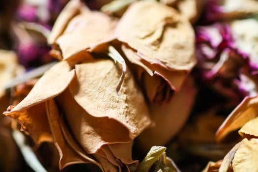 Dried rose flowers and petals. Floral decor. photo