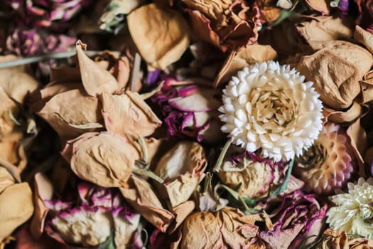Dried flowers and petals. Floral decor. photo