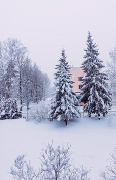 Winter nature background. Morning in the city. Urban view. photo