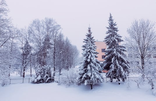 Winter nature background. Morning in the city. Urban view. photo