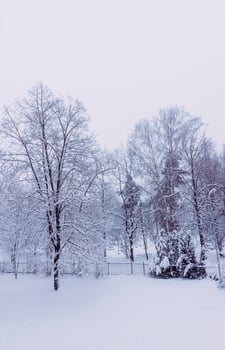Winter nature background. Morning in the city. Urban view. photo