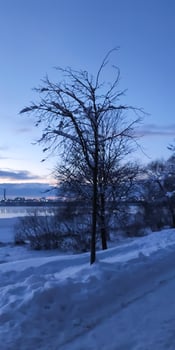 Scenic winter landscape. Sunset scenic view. photo