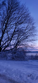 Scenic winter landscape. Sunset scenic view. photo