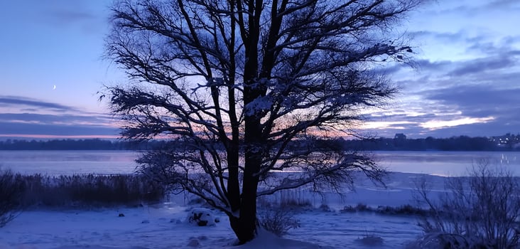 Scenic winter landscape. Sunset scenic view. photo