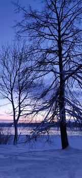 Scenic winter landscape. Sunset scenic view. photo