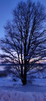 Scenic winter landscape. Sunset scenic view. photo