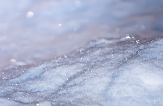 Seasonal nature background. Winter nature details. photo