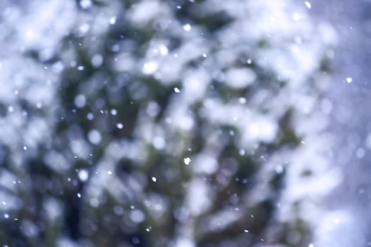 Seasonal nature background. Winter nature details. photo