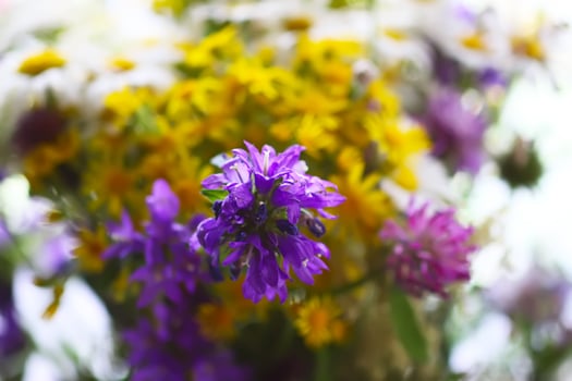 A bouquet of bright summer wildflowers photo