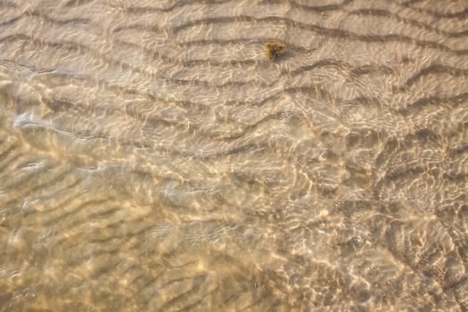 Sandy beach surface. Wet sand photo