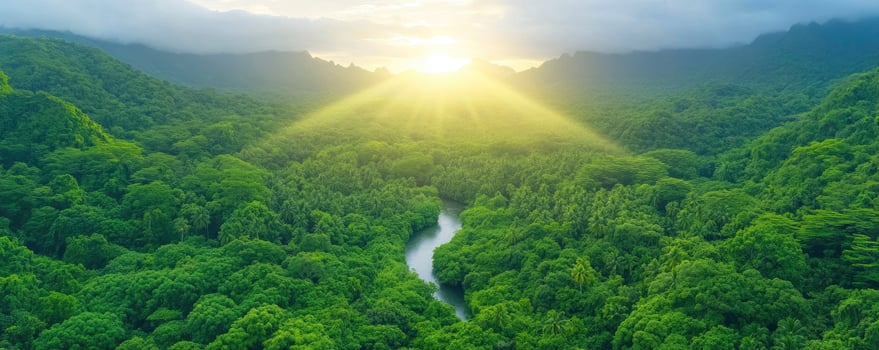 sun beams and a verdant valley in the Hawaiian jungle. photo
